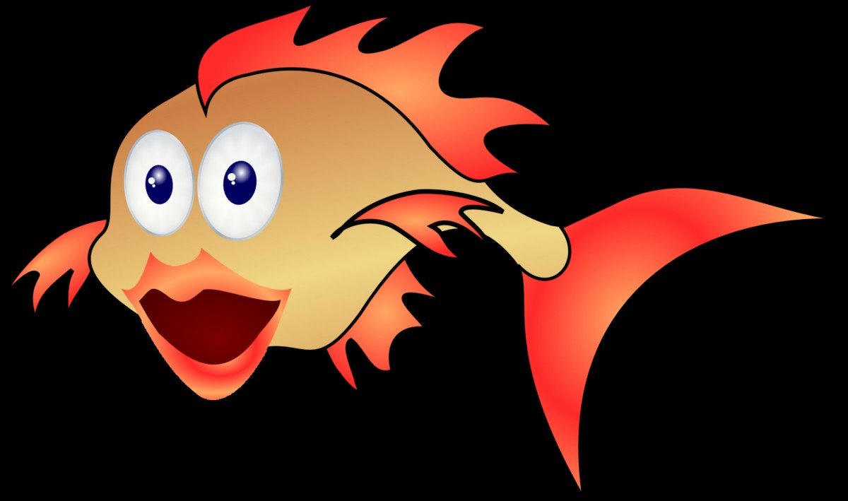 Smashy the goldfish