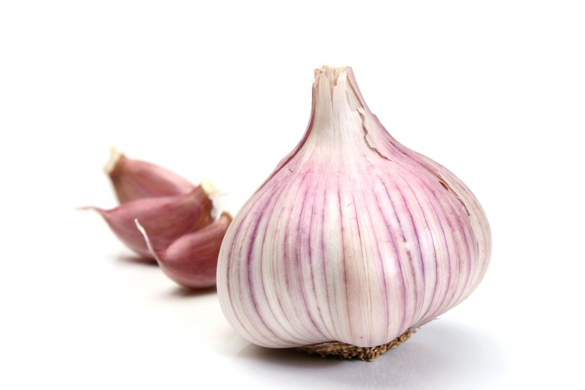 garlic