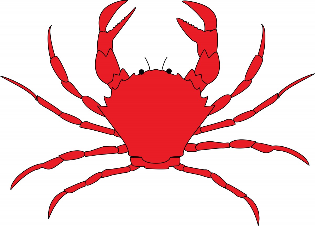 crab