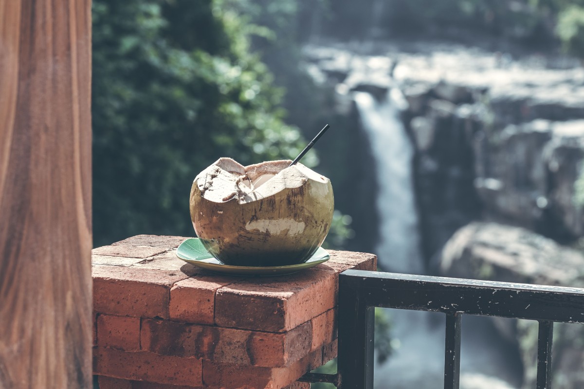 coconut water