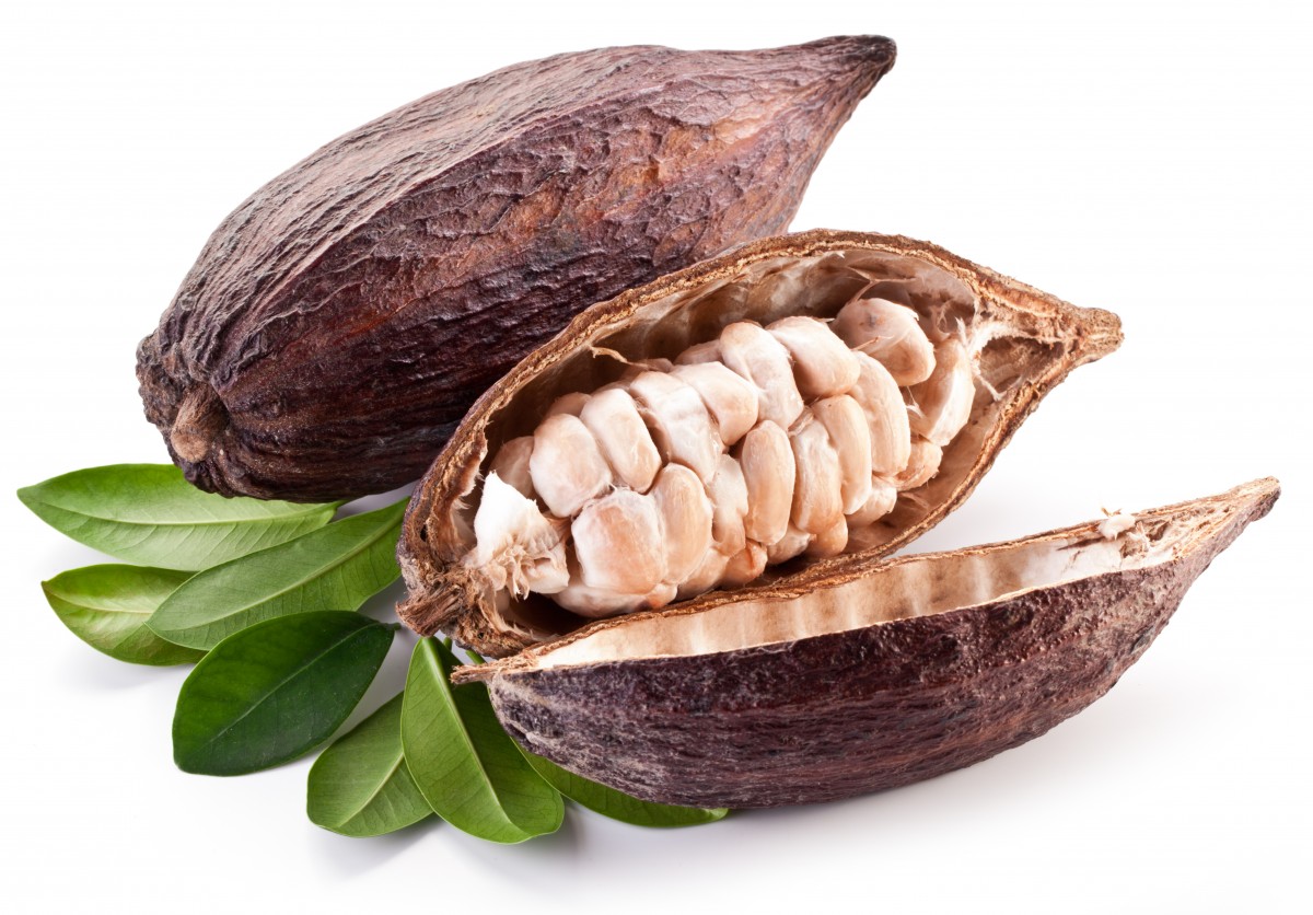 cocoa pods